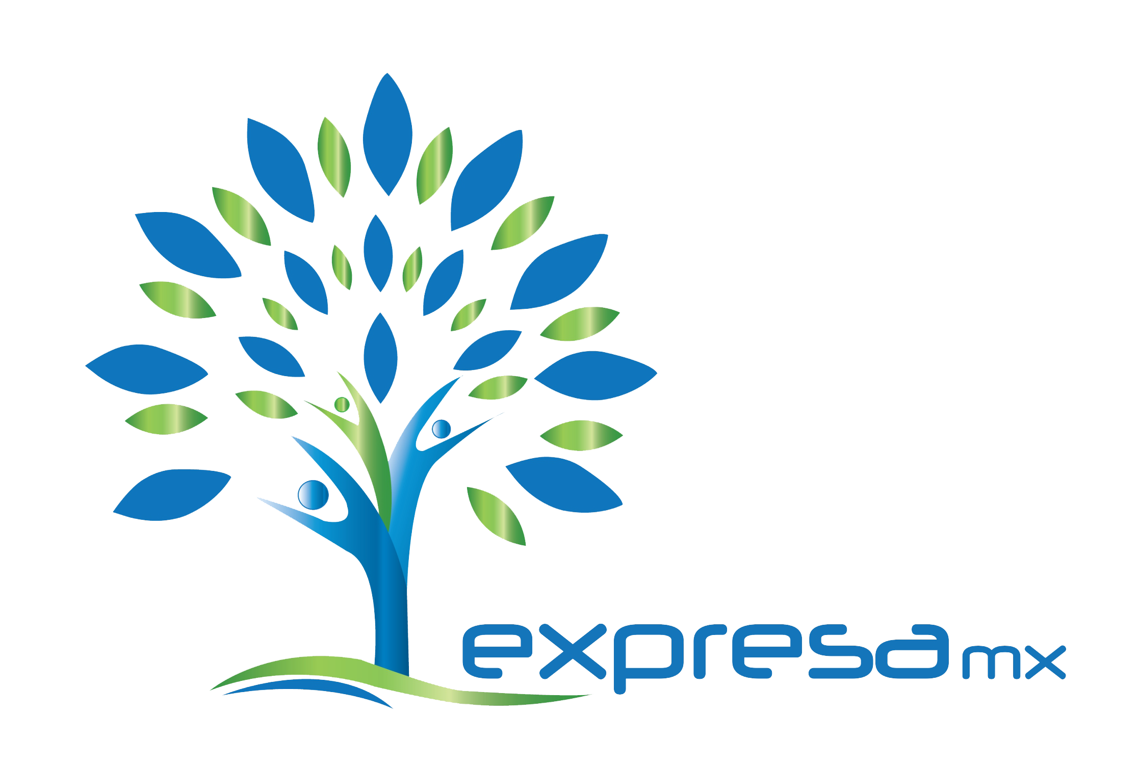 EXPRESA MX
